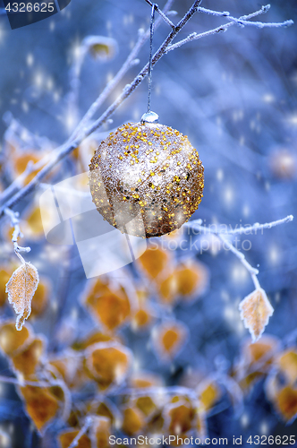Image of New Year's ball hanging on a branch of a Christmas tree in the forest