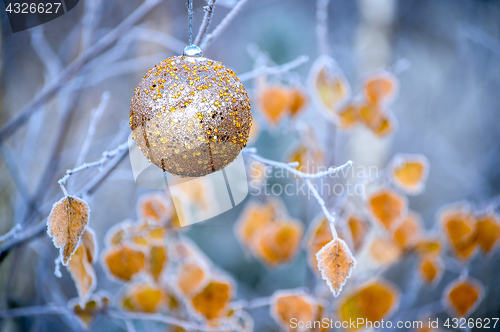Image of New Year's ball hanging on a branch of a Christmas tree in the forest