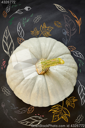 Image of Pumpkin with drawn fall foliage