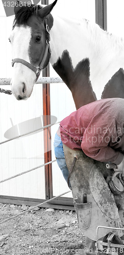 Image of Male farrier.