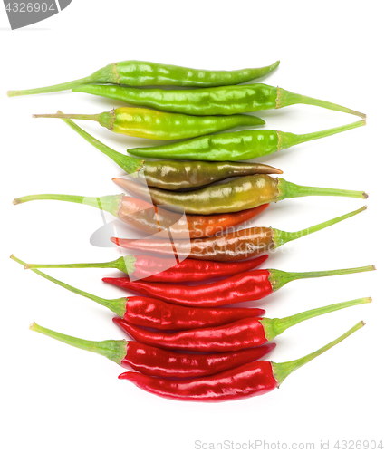 Image of Arrangement of Chili Peppers