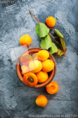 Image of fresh apricots