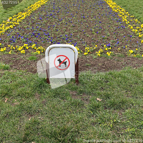 Image of No Dogs Park