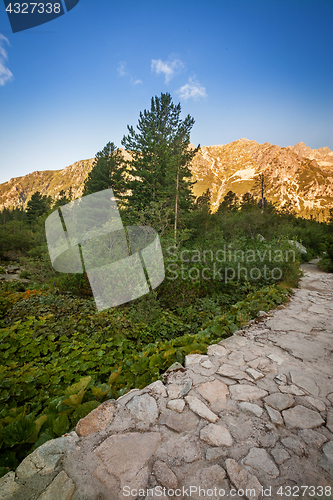 Image of Valley in Tatra Mountains, Slovakia, Europe