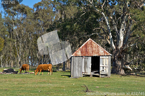 Image of old farm
