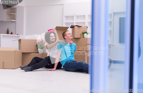 Image of young  gay couple moving  in new house