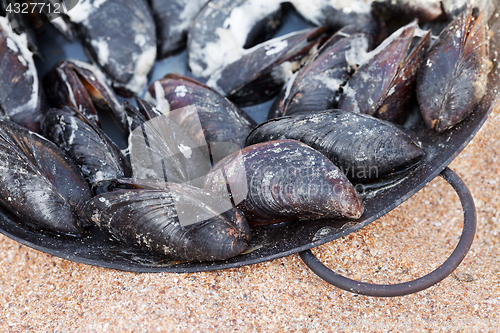 Image of Freshly cooked mussels in metal tray on sand beach 