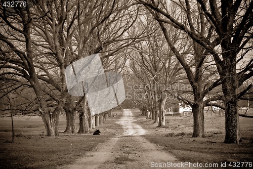 Image of country road in winter