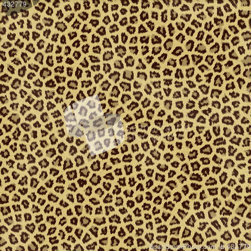 Image of leopard skin