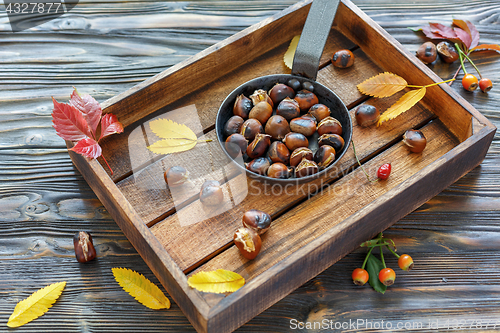 Image of Delicious roasted chestnuts in a cast iron skillet.