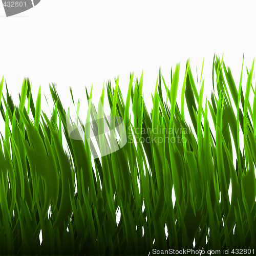 Image of green grass