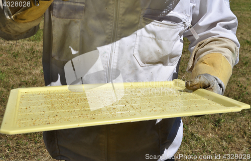 Image of Monitoring board for varroa mites