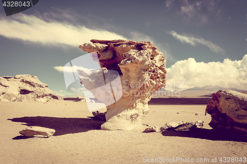 Image of Arbol de Piedra in Siloli desert, sud Lipez reserva, Bolivia