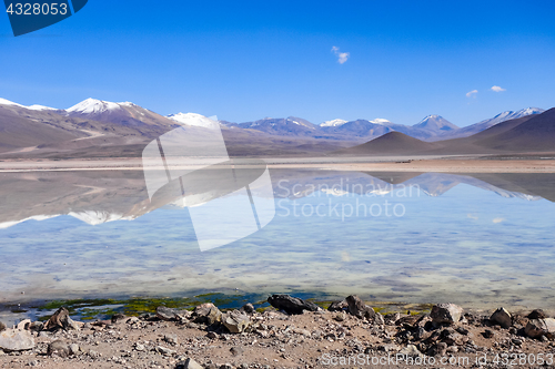 Image of Clear altiplano laguna in sud Lipez reserva, Bolivia