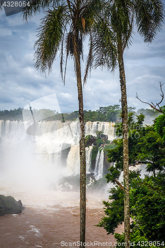 Image of iguazu falls