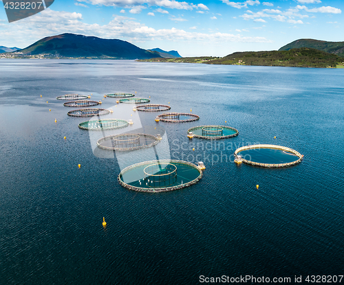 Image of Farm salmon fishing Aerial FPV drone photography.