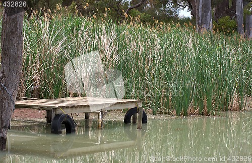 Image of river mooring surrounded by cumbungi reeds