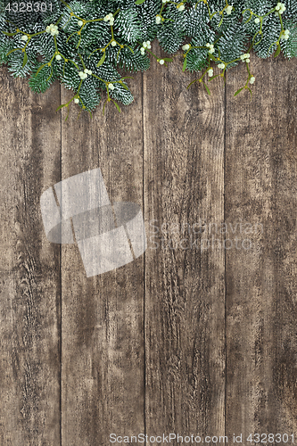 Image of Mistletoe and Fir Background  