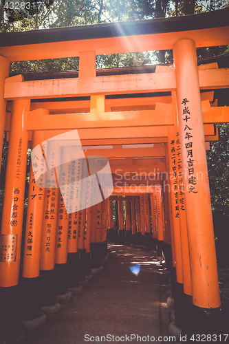 Image of Fushimi Inari Taisha torii, Kyoto, Japan