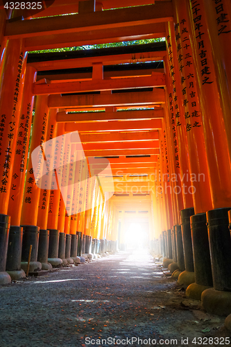 Image of Fushimi Inari Taisha torii, Kyoto, Japan