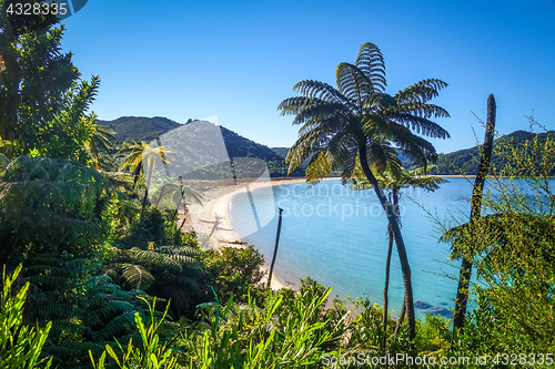 Image of Abel Tasman National Park, New Zealand