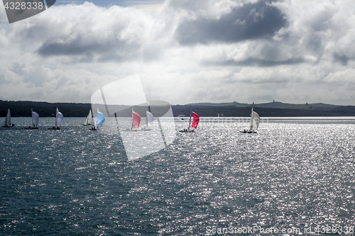 Image of Sailing ship in Auckland, New Zealand