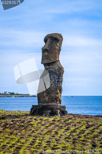 Image of Moai statue, ahu akapu, easter island