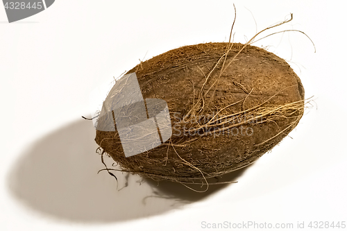 Image of Coconut on a white background.