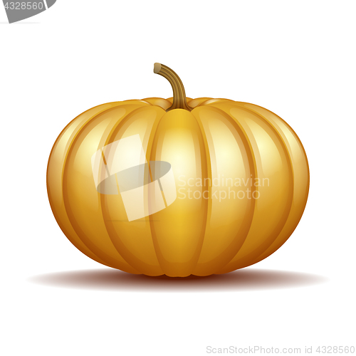 Image of Orange autumn pumpkin icon