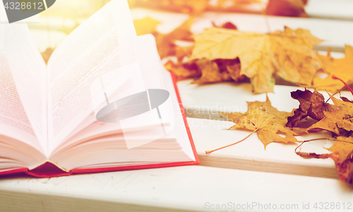 Image of open book and autumn leaves on park bench