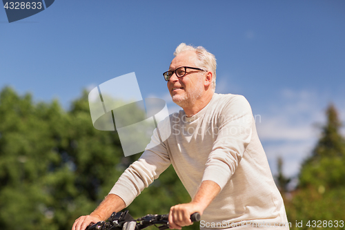 Image of happy senior man riding bicycle at summer park