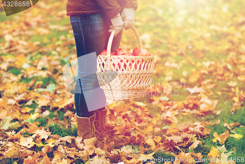 Image of woman with basket of apples at autumn garden