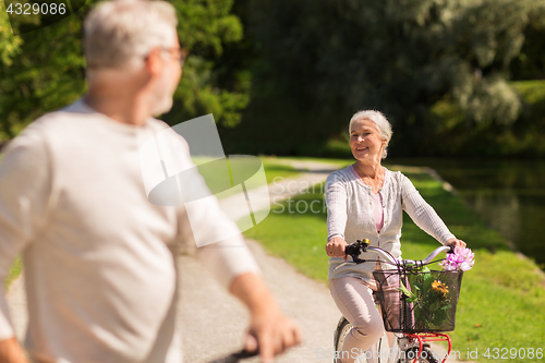 Image of happy senior couple riding bicycles at summer park