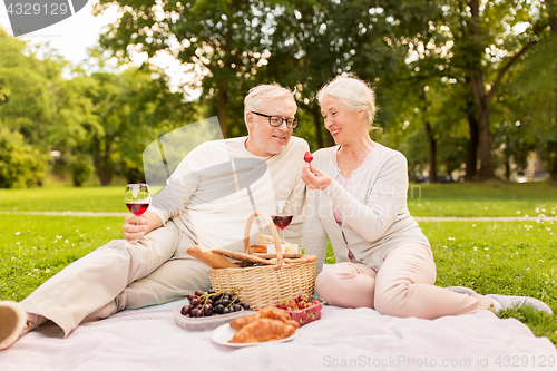 Image of happy senior couple having picnic at summer park