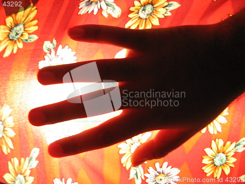 Image of hand