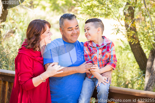 Image of Mixed Race Caucasian and Hispanic Family At The Park.
