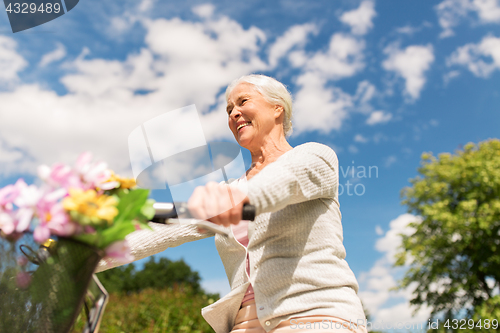 Image of happy senior woman riding bicycle at summer park