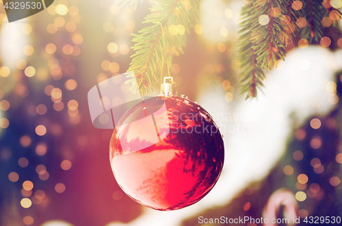 Image of red christmas ball on fir tree branch with snow