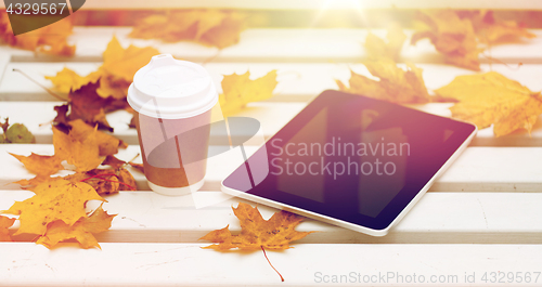 Image of tablet pc and coffee cup on bench in autumn park