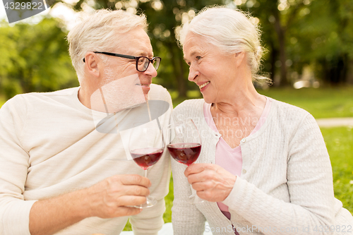Image of happy senior couple drinking wine at summer park