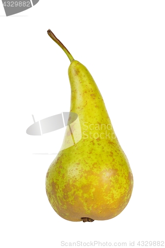 Image of Pear on white