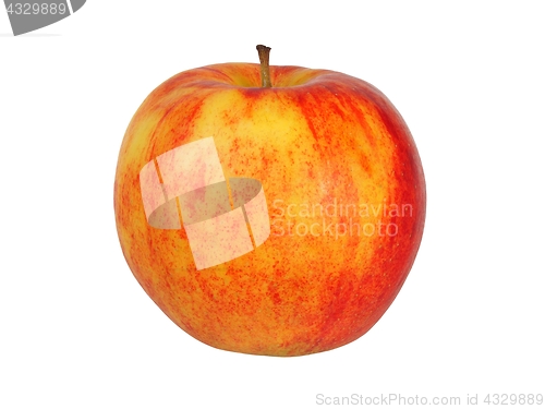 Image of Red apple on white