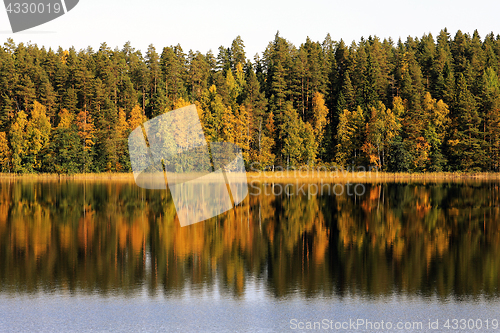 Image of Autumnal Lake Reflections