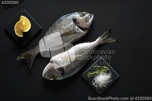 Image of Fish food