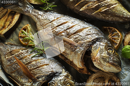 Image of Fish food