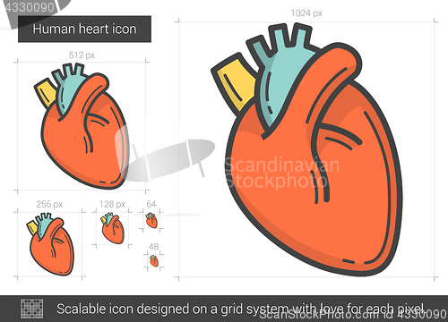 Image of Human heart line icon.