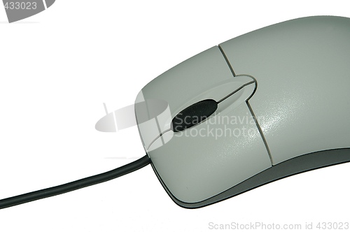 Image of Mouse