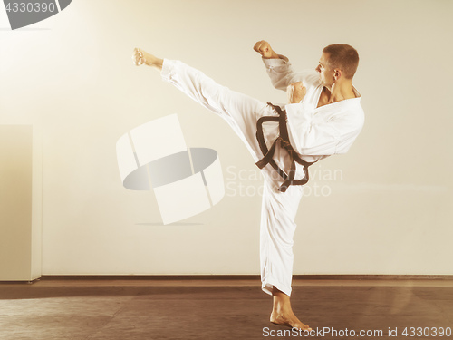 Image of martial arts master side kick