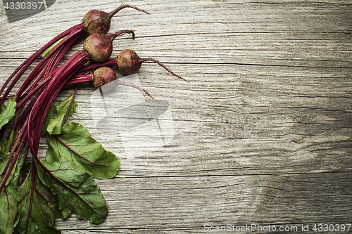 Image of Beetroot 