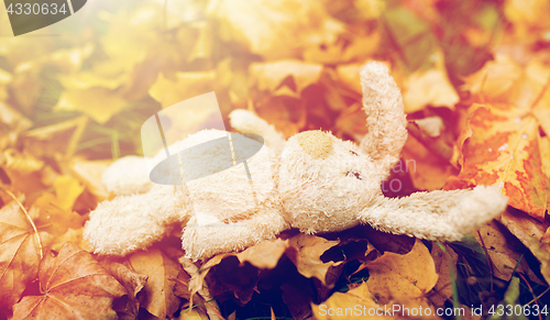 Image of toy rabbit in fallen autumn leaves